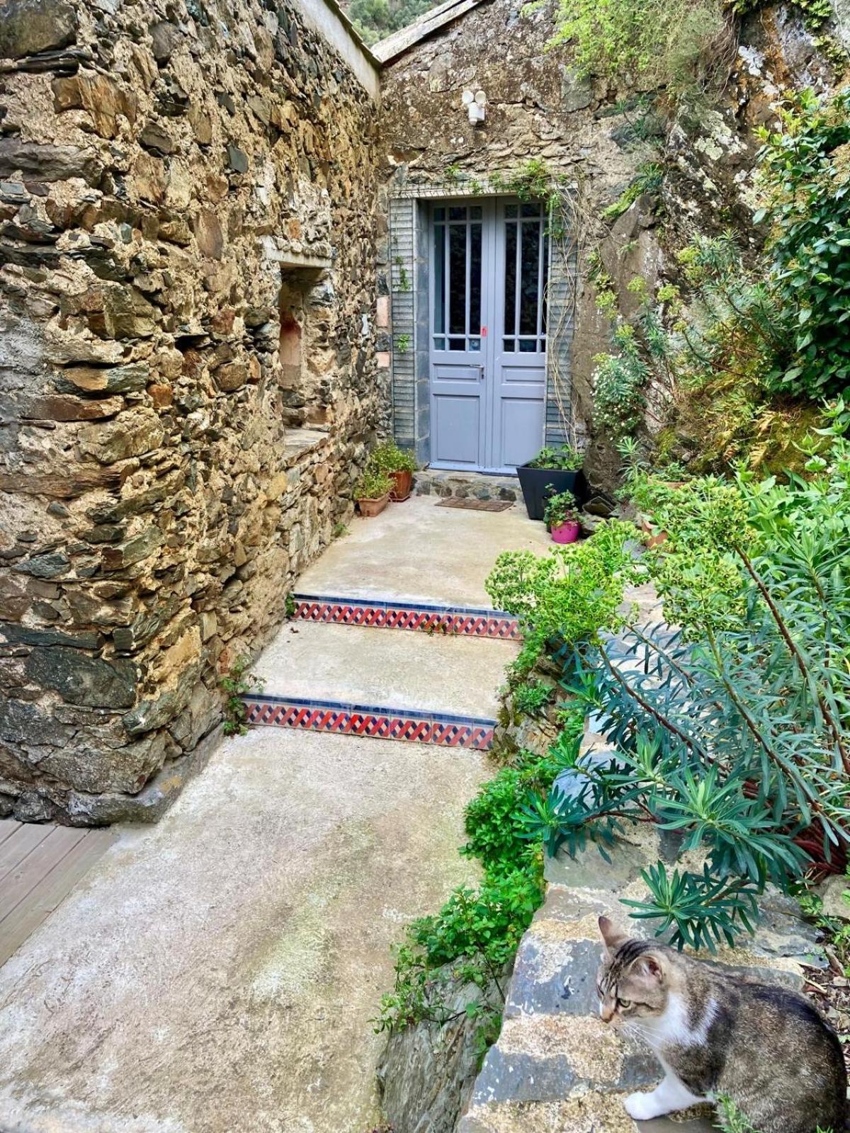 4 Star Cabaret Lastours 4 Chateaux Amazing Cathar Landmark Private Luxury 4 Star Air Conditioned Terrasse With Views Экстерьер фото